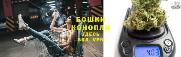 PSILOCYBIN Богородицк