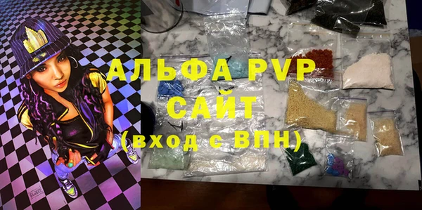 ПСИЛОЦИБИНОВЫЕ ГРИБЫ Богданович