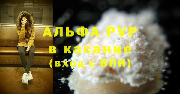 ПСИЛОЦИБИНОВЫЕ ГРИБЫ Богданович