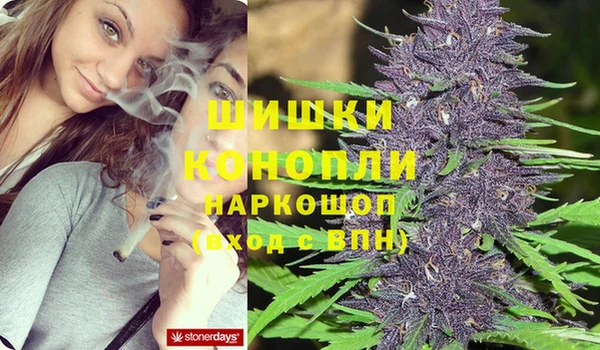 ПСИЛОЦИБИНОВЫЕ ГРИБЫ Богданович
