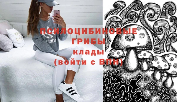 mix Богородск