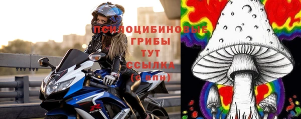 PSILOCYBIN Богородицк
