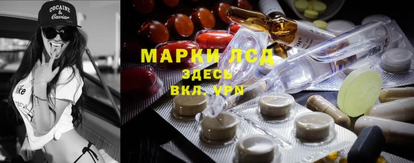 ПСИЛОЦИБИНОВЫЕ ГРИБЫ Богданович