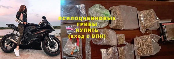PSILOCYBIN Богородицк