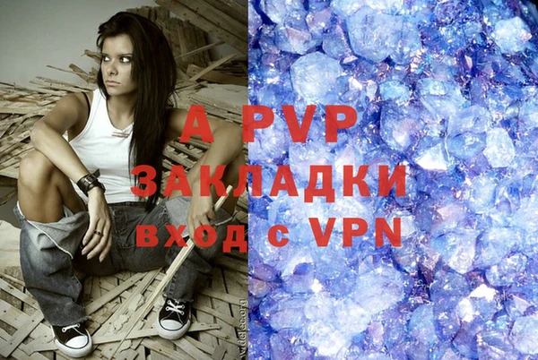 ПСИЛОЦИБИНОВЫЕ ГРИБЫ Богданович
