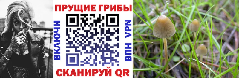 Галлюциногенные грибы GOLDEN TEACHER  что такое наркотик  Малмыж 